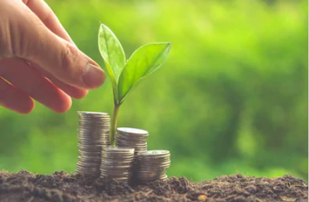 Investidor Anjo e fundos de investimentos em startups