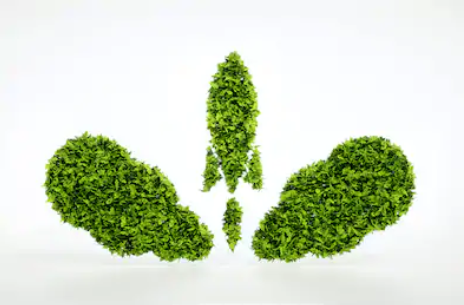 Sua Startup Pode nos Ajudar a Criar um Mundo Mais Sustentável