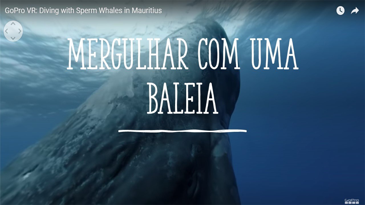 mergulhar com uma baleia através da realidade virtual